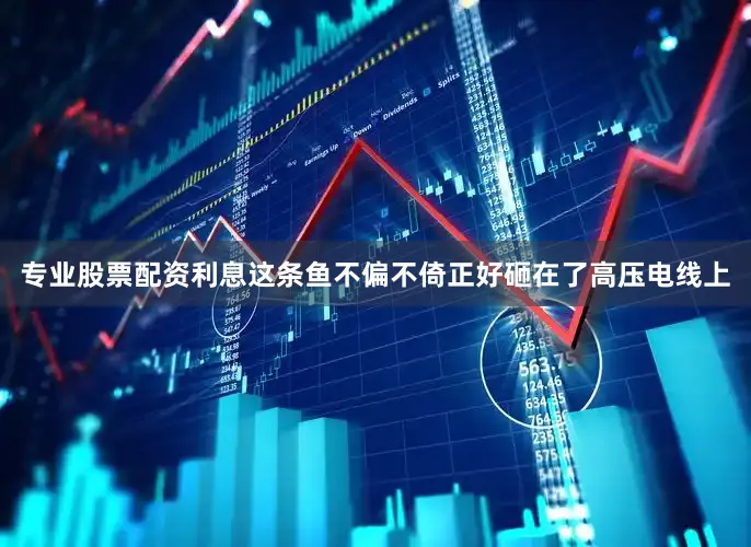 专业股票配资利息这条鱼不偏不倚正好砸在了高压电线上